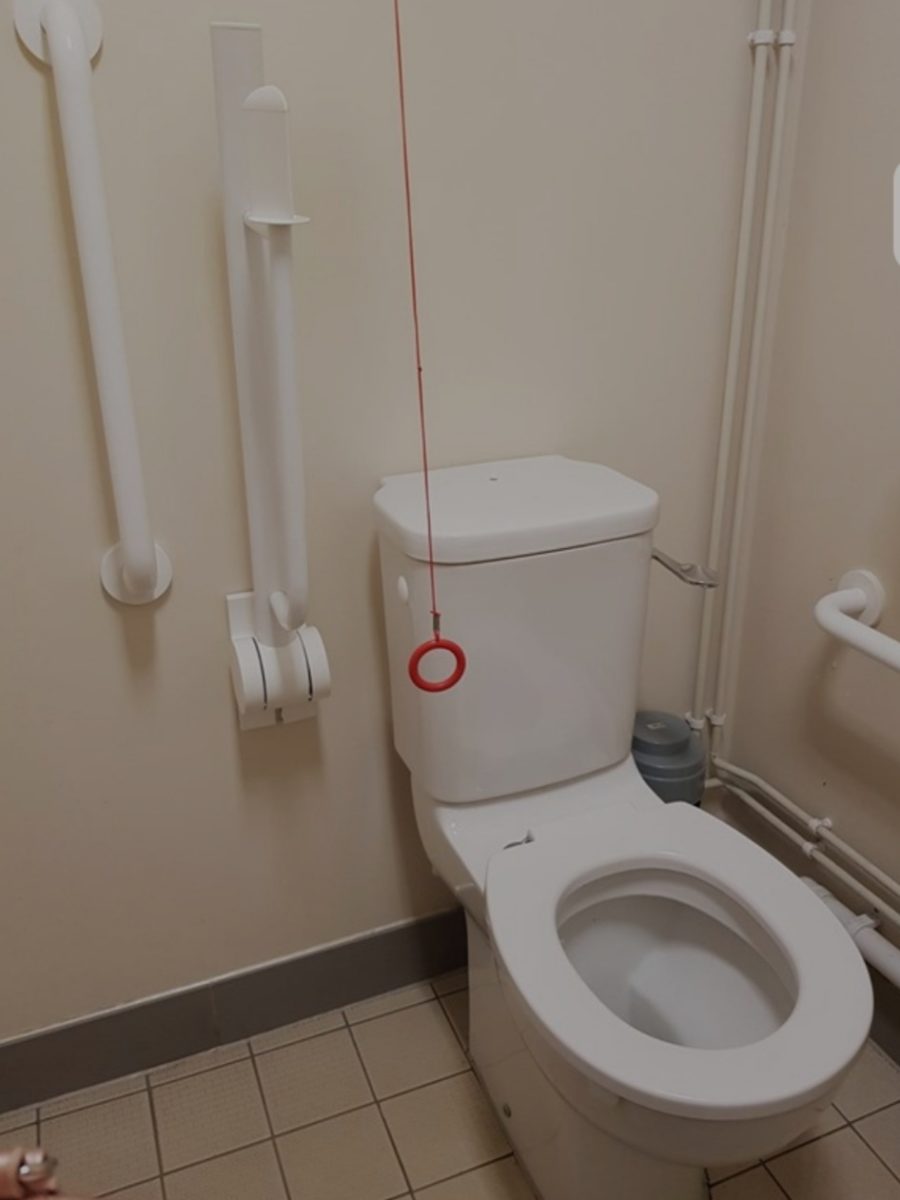 Toilet with white grab rails and large flush handle