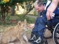 Petting lion cub.