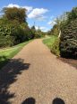 Typical garden path