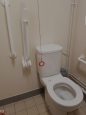 Toilet with white grab rails and large flush handle